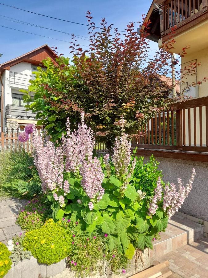 Harmonia Vendeghaz 100 Meterre Az Igali Gyogyfuerdotol Lejlighed Eksteriør billede