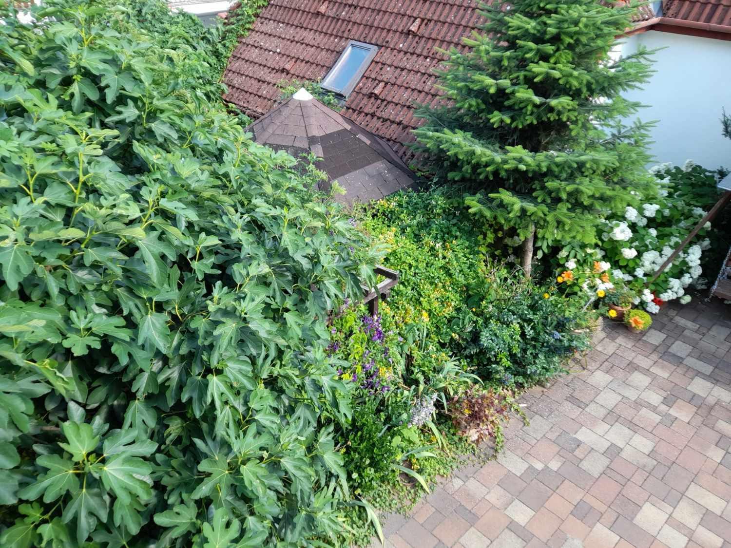 Harmonia Vendeghaz 100 Meterre Az Igali Gyogyfuerdotol Lejlighed Eksteriør billede